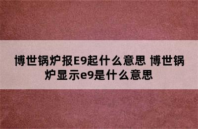 博世锅炉报E9起什么意思 博世锅炉显示e9是什么意思